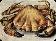 Albrecht Durer Lobster China oil painting reproduction